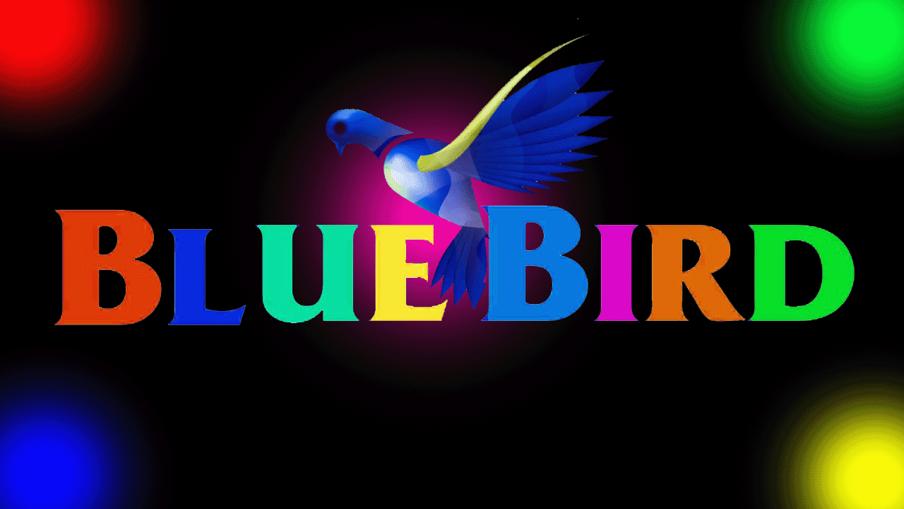 Blue Bird Company